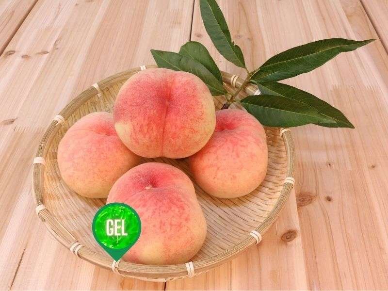 profumo ambiente pesca, gel per profumatori, gel per diffusori. Marketing olfattivo