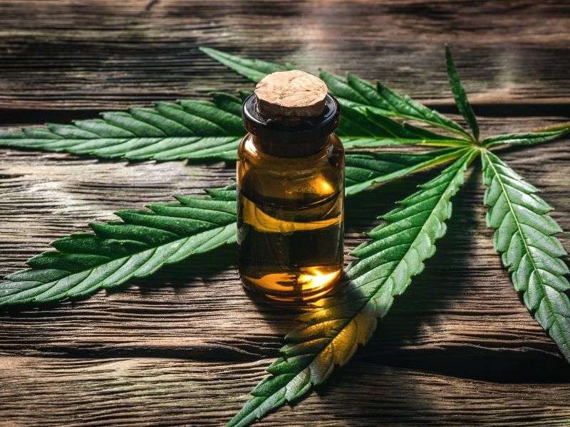 Fragrance environment Cannabis and Marijuana