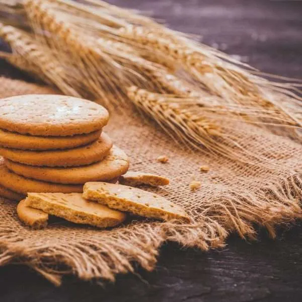 Scent Environment Food Biscuits