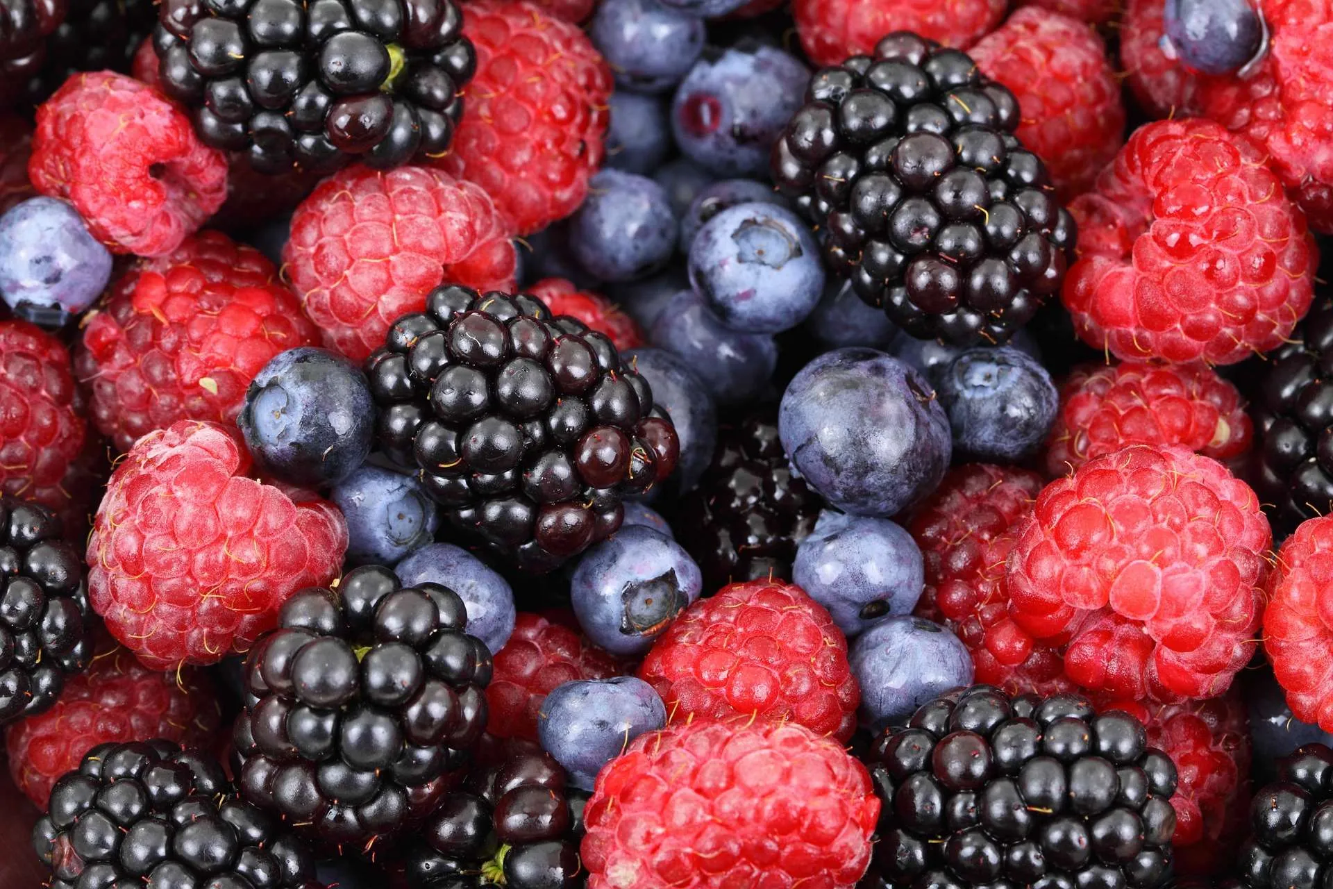 Profumo ambiente frutti di bosco, fragranza per ambienti, deodorante ambienti, marketing olfattivo