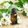 Image of Boreko - Special Scent Special Scent  Image of Special Scent